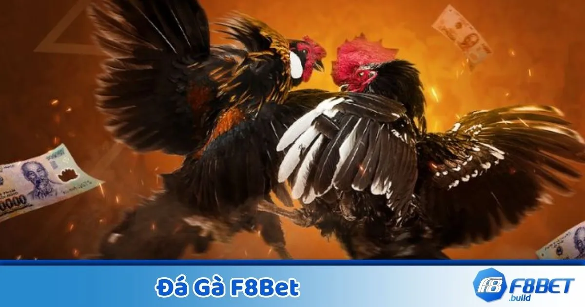 Phân tích đối thủ