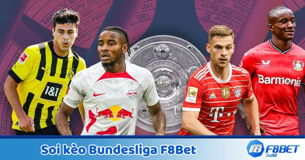 F8Bet Soi Kèo Bundesliga - Hướng Dẫn Đọc Kèo Và Dự Đoán 1 Phương pháp soi kèo Bundesliga hiệu quả tại F8Bet