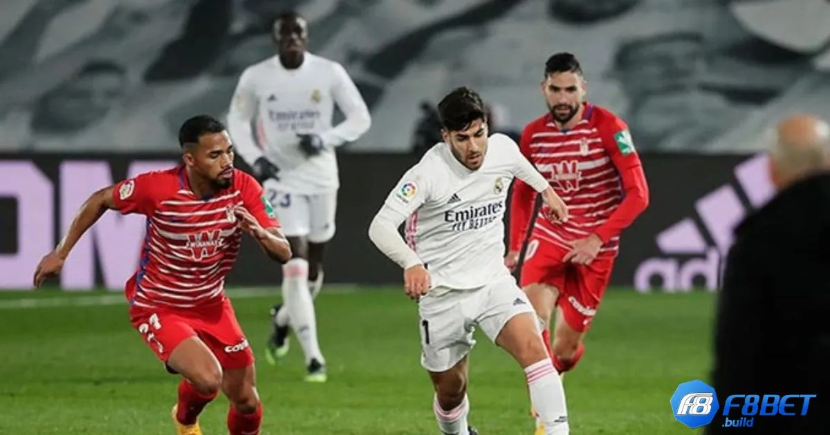 F8Bet Soi Kèo La Liga - Kèo châu Á – Khi nào nên chọn cửa trên hoặc cửa dưới?