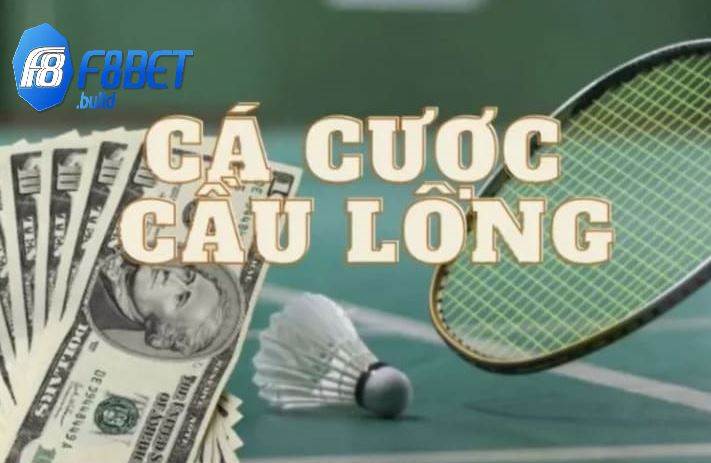 Những kèo cá cược cấu lông hấp dẫn